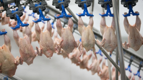 В ЕС в ближайшие 8 лет увеличат потребление мяса птицы